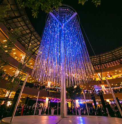 “光影上！！！钡乒庖帐踅谒飨钅